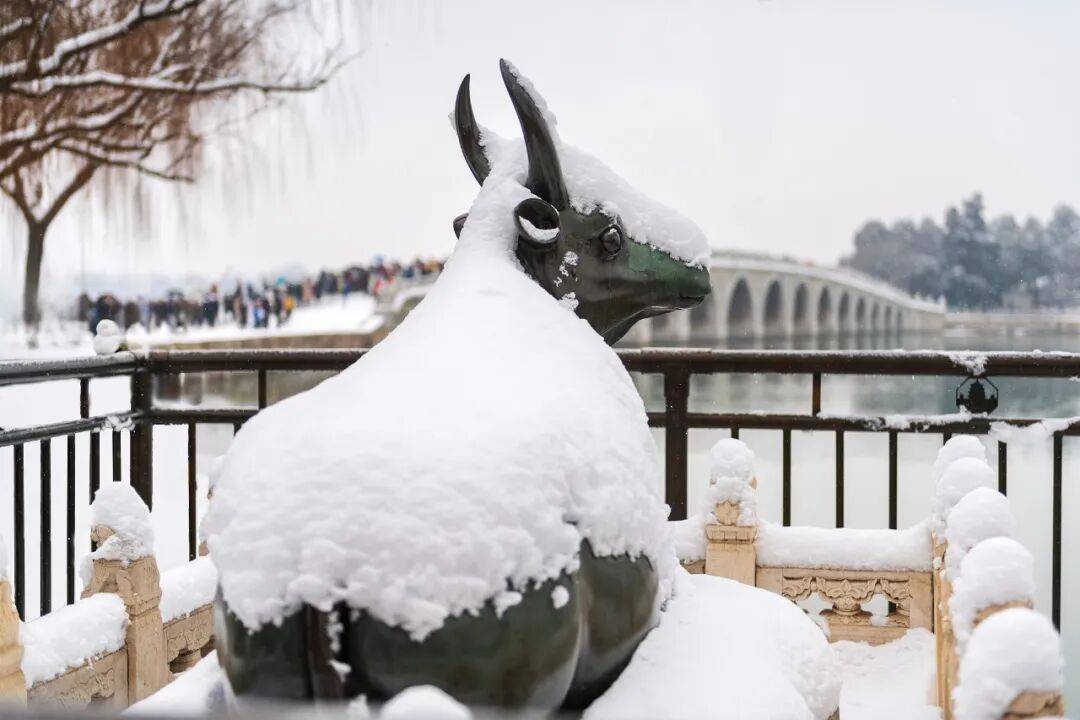 國家氣候中心首席預報員：預計今冬偏暖，但冷暖起伏大:萬科物業服務有限公司